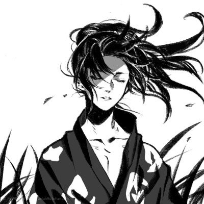 浪姐一公直播